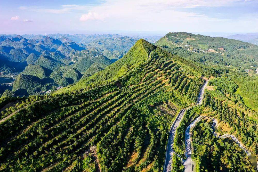 贵州册亨县景区图片