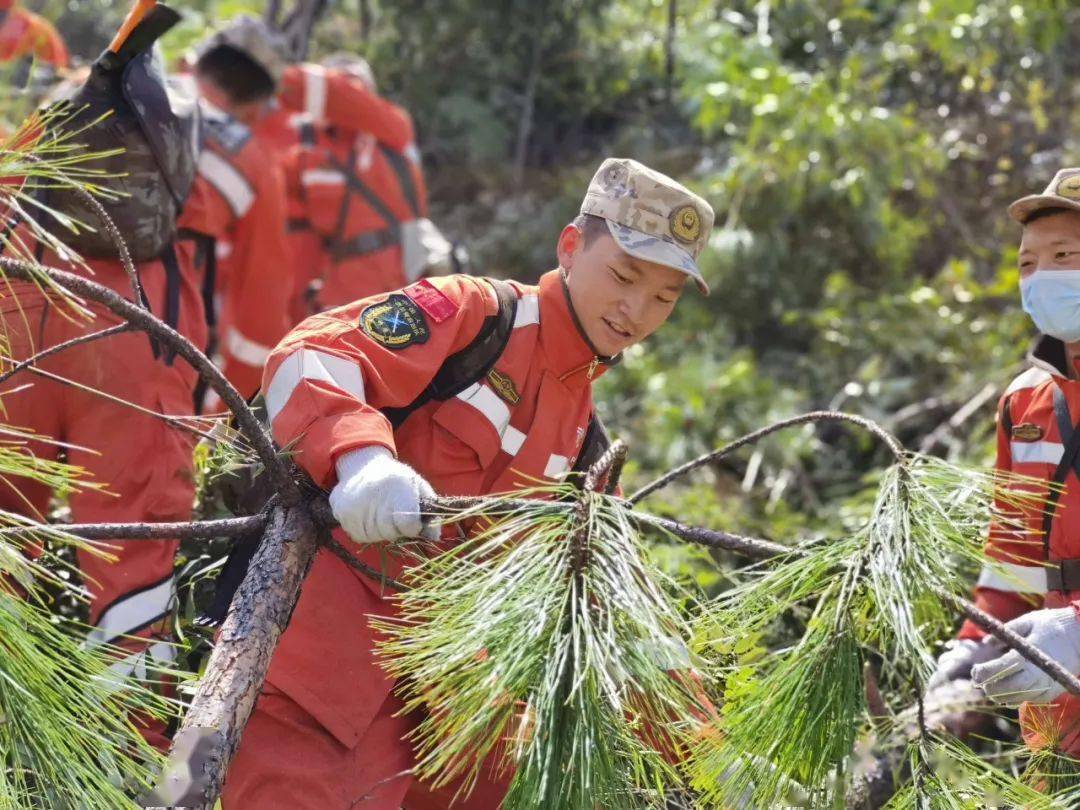 青动态 | 武警丽江支队:烈火雄心绘丹心——致敬,感天动地84小时向党