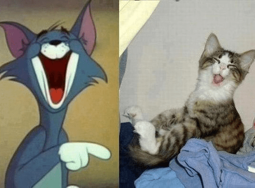 汤姆_动画_现实