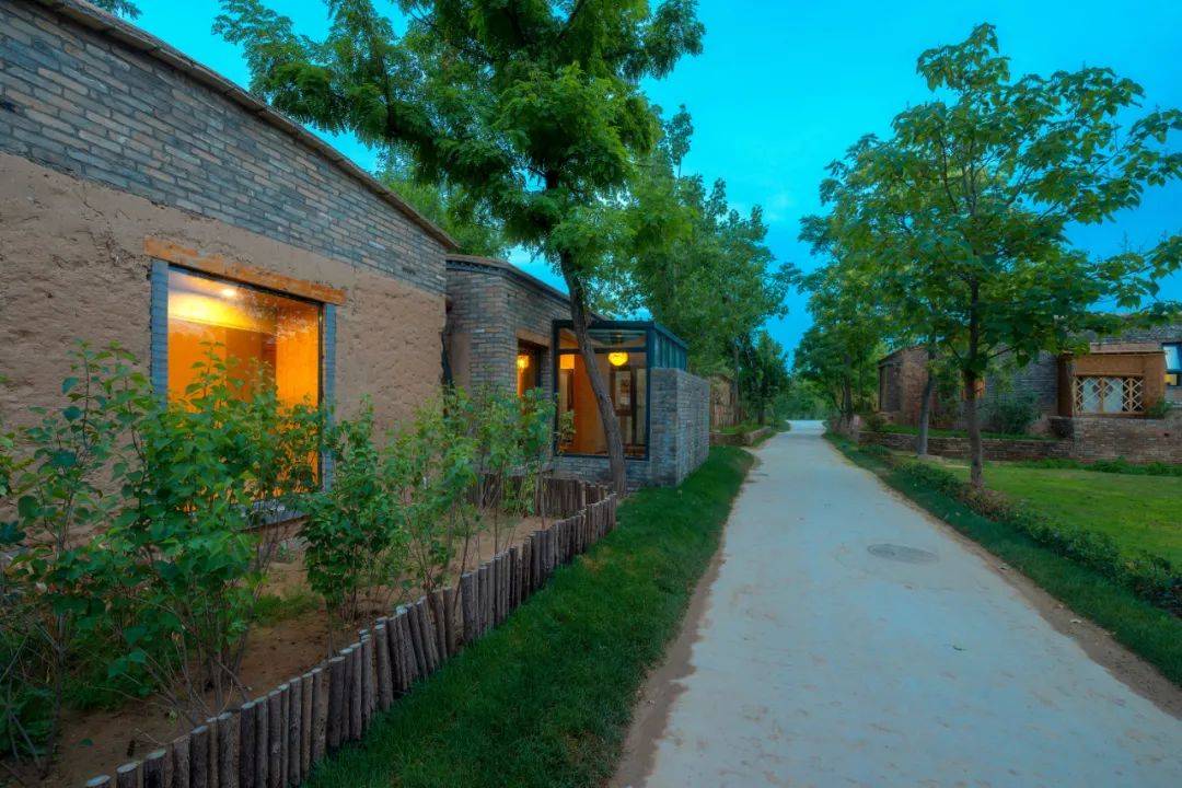 "农文旅"融合 绘就春日美景_姜庄村_乡村_黄河岸边