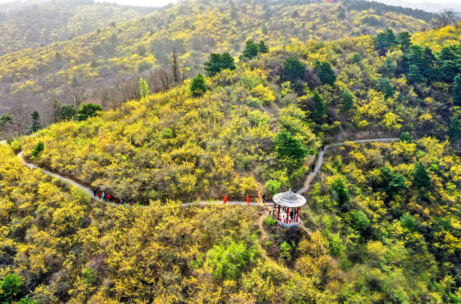 安泽黄花岭风景区攻略图片