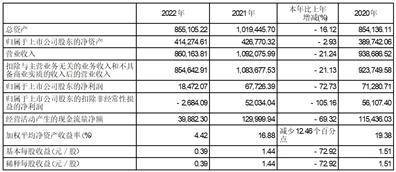 宁波承平鸟时髦服饰股份有限公司2022年度陈述摘要