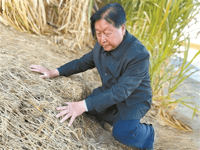 林占熺教授图片