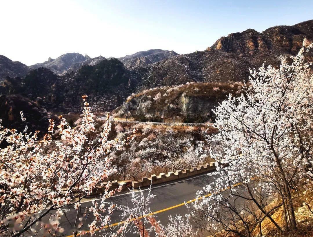 乡域内旅游资源丰富大庄科乡位于延庆东南山区许多来延的游客并不陌生