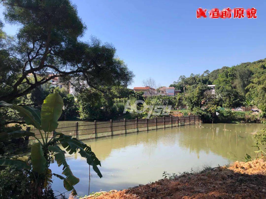 抽水建桥,填塘扩路,分120万后的石牌村现状抢先看~_改造_五孔桥_建筑