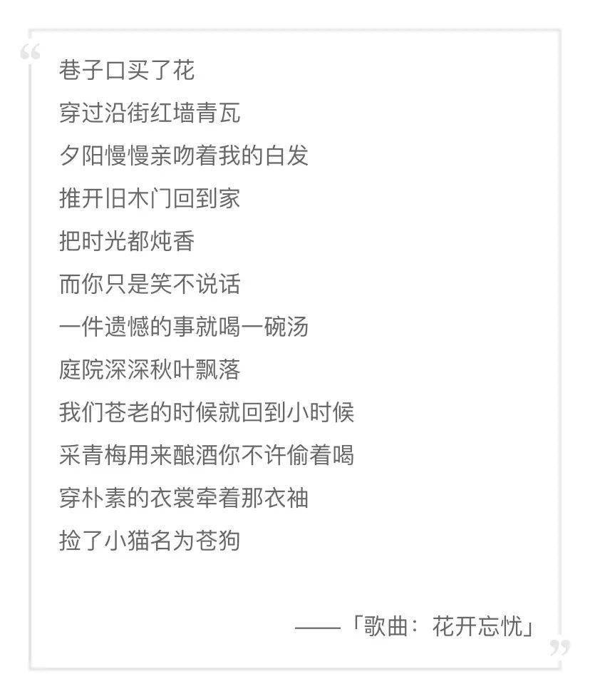 你是我行走的力量歌曲图片