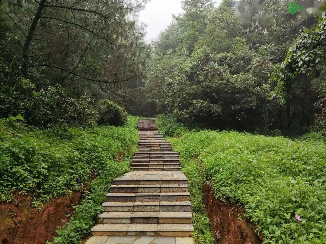 云南健身步道 | 安宁龙山登山步道_温泉_广场_螳螂