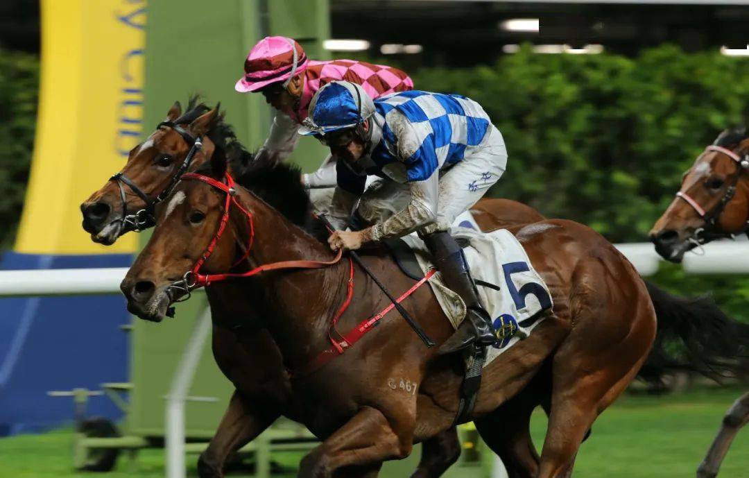 有关香港赛马会及其综合营运模式,请浏览:https://corporate.hkjc.