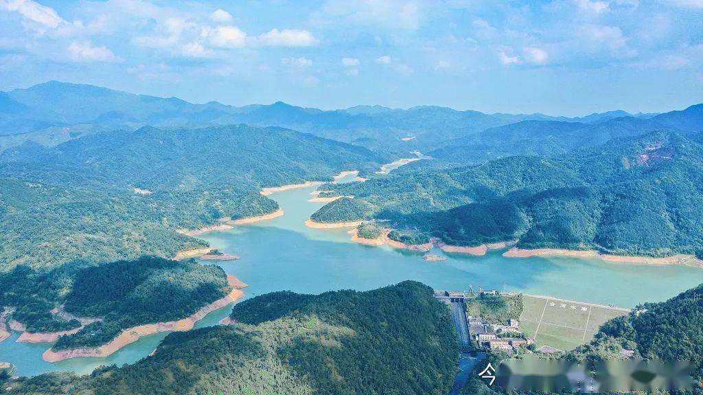 【聚焦"百县千镇万村高质量发展工程"】新兴县大江镇:当好"红绿融合"