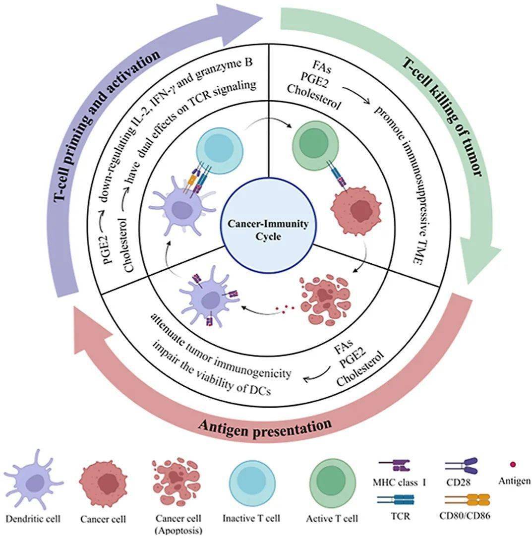 【apsb】2023年4期_in_治疗_cancer