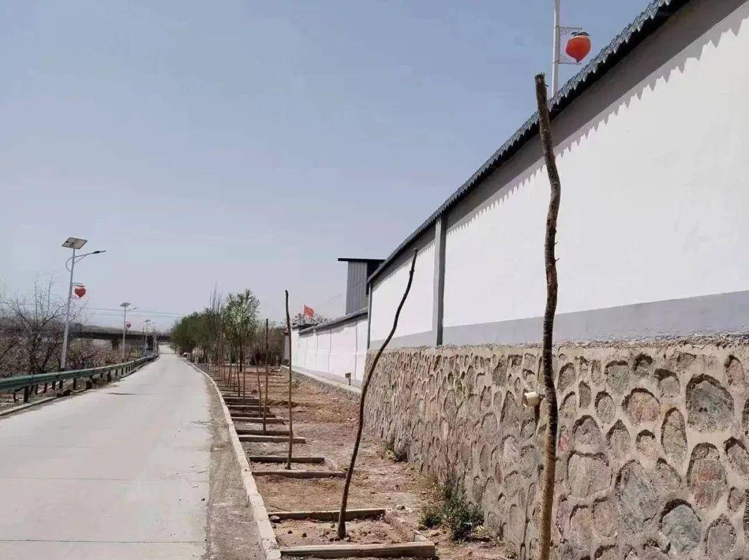 【"三抓三促"行动进行时 】刘川镇春季植树助力人居环境再提升_绿化