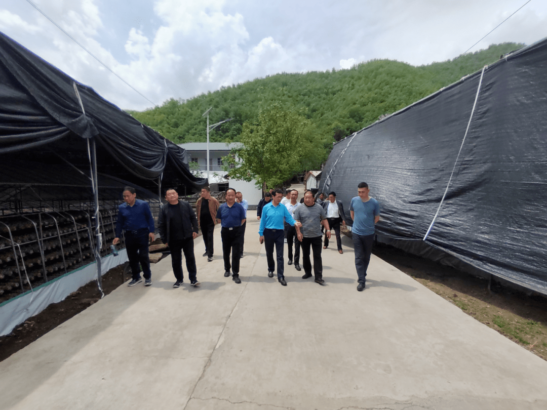 灵宝市阳平镇:外出学习拓思路 铆足干劲创"五星"_工作_发展_单位