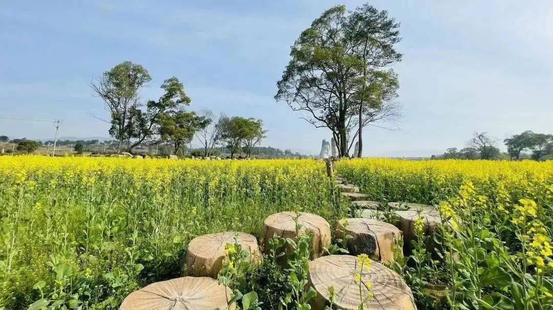 "五一"小长假,东阳人必去打卡的地方!_活动_景区_横店