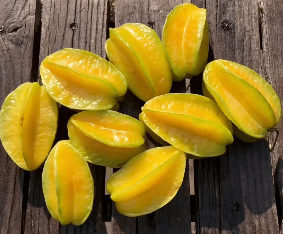 休克了一周让我们一起来看看是怎么回事连发2例中毒病例竟是杨桃惹的