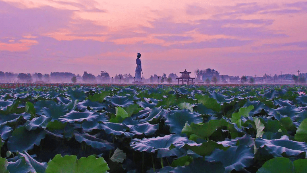 相约安徽·向春而行 |诗画阜南系列(三十六) 枫柏岗风烟满夕阳_景区