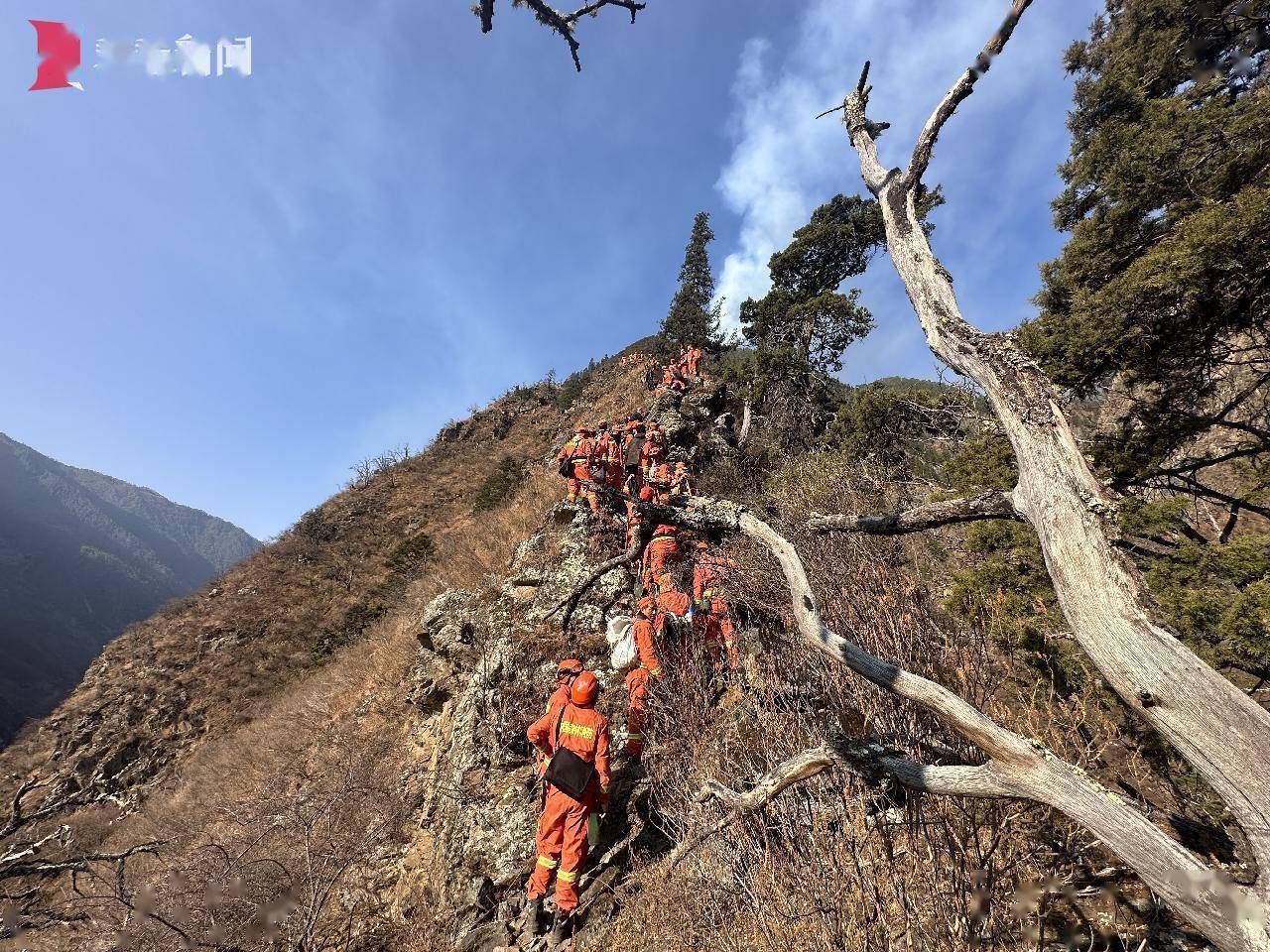 四川甘孜森林火情 消防员贴着悬崖灭火_火场_扑救_火灾