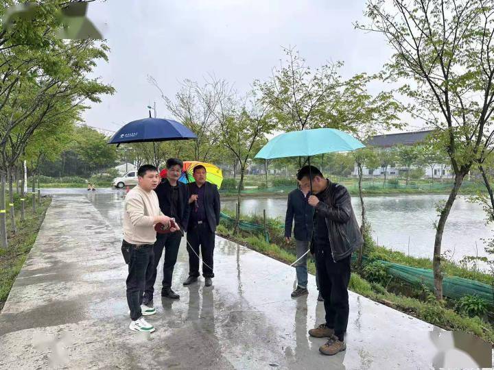 德清：“坑洼路”变身“幸福路”-德清矿坑综合利用整治工程