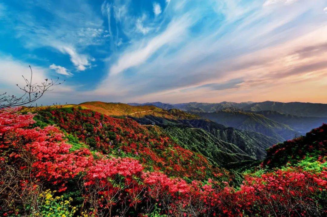 最近,永州实在太火了!_活动_双牌县_阳明山