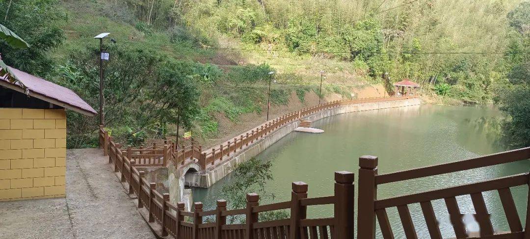 志愿服务丨漳平市象湖镇龙门村:"小积分"积出乡村"新风貌"_村民_主动