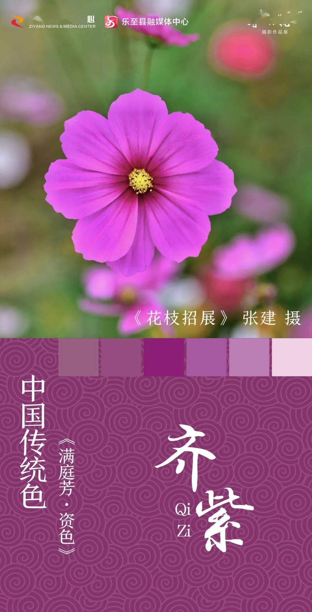 资阳_壁纸_色彩