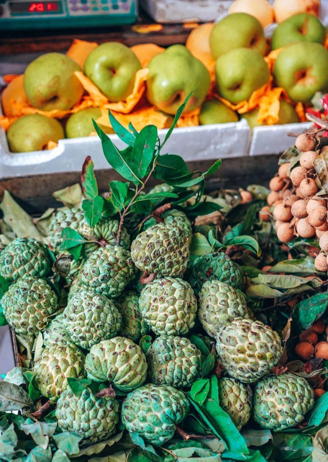 德宏水果自由再添国家重磅支持_芒市_缅甸_菠萝蜜