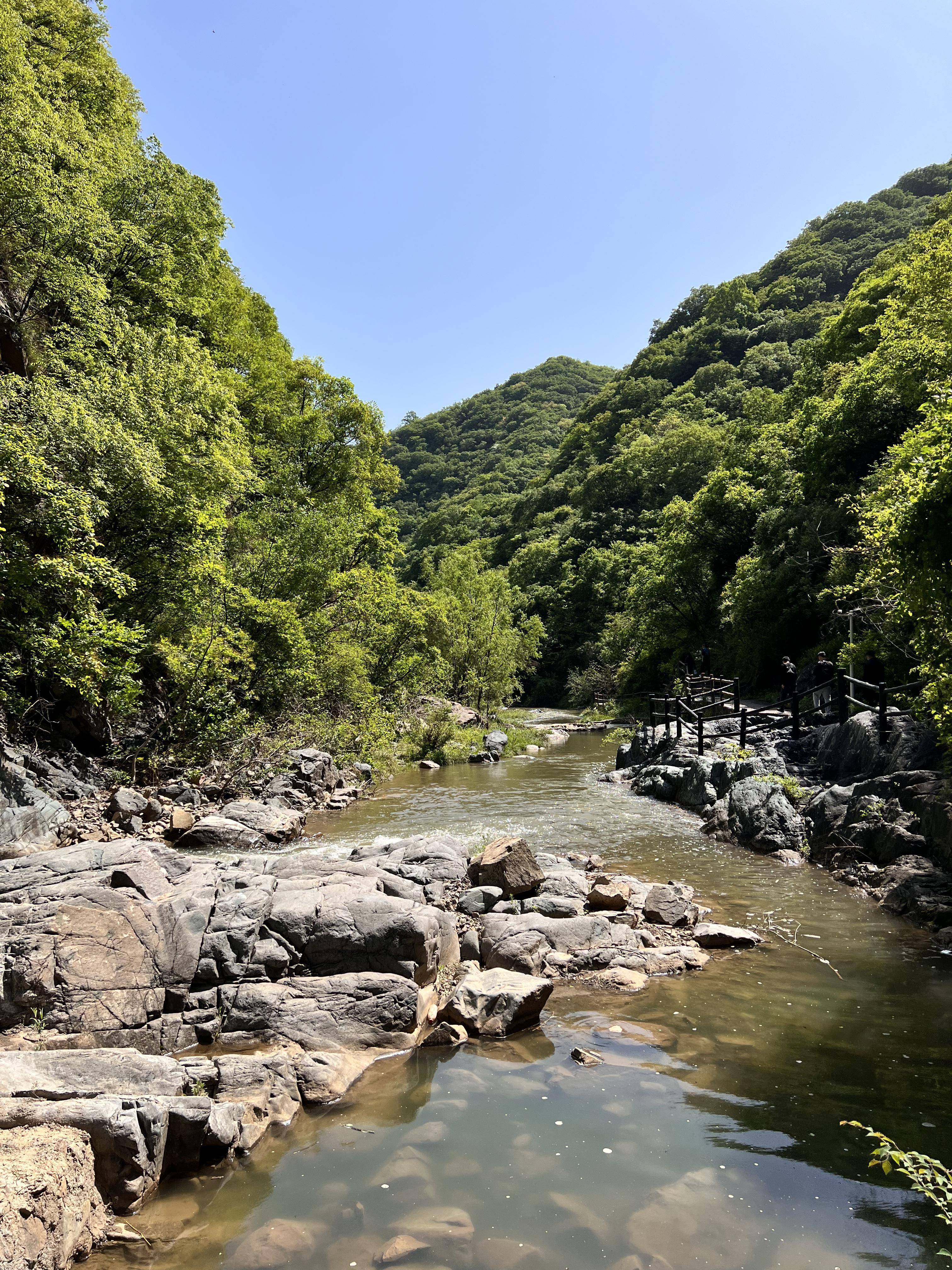 "的无穷魅力之际,郑州市文化广电和旅游局党组成员,副局长魏银普说