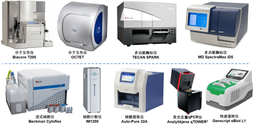 fcγ受体spr亲和力分析示例