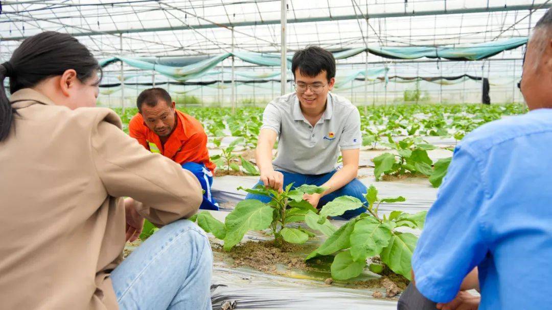 全國有機農產品(油茶)基地,連續4年獲評全省農業農村綜合工作先進縣