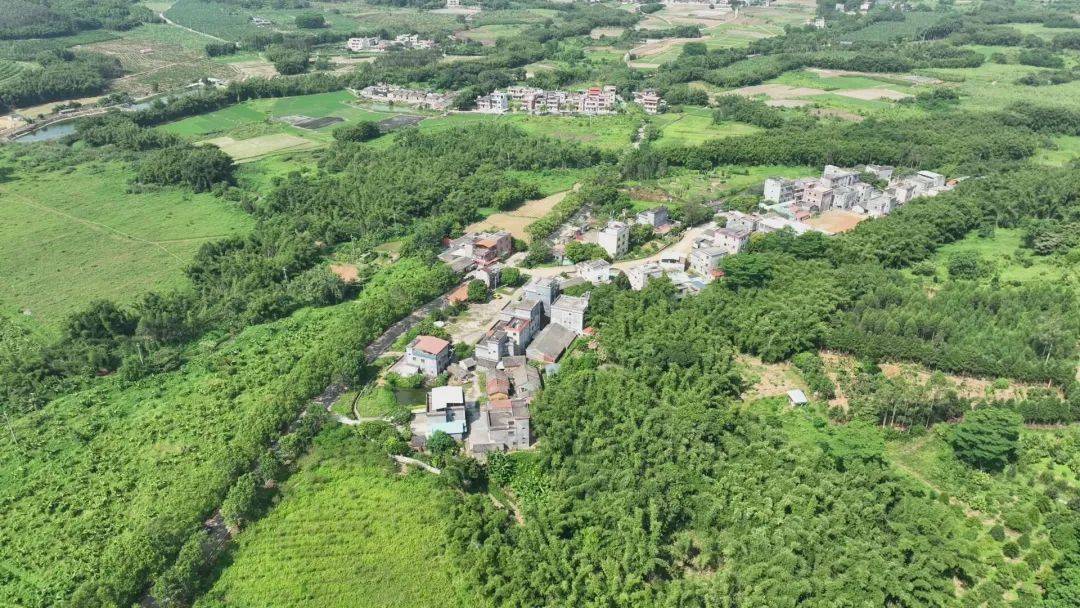 罗浮山下的畲族村,上新了!_文化_嶂背_博罗县