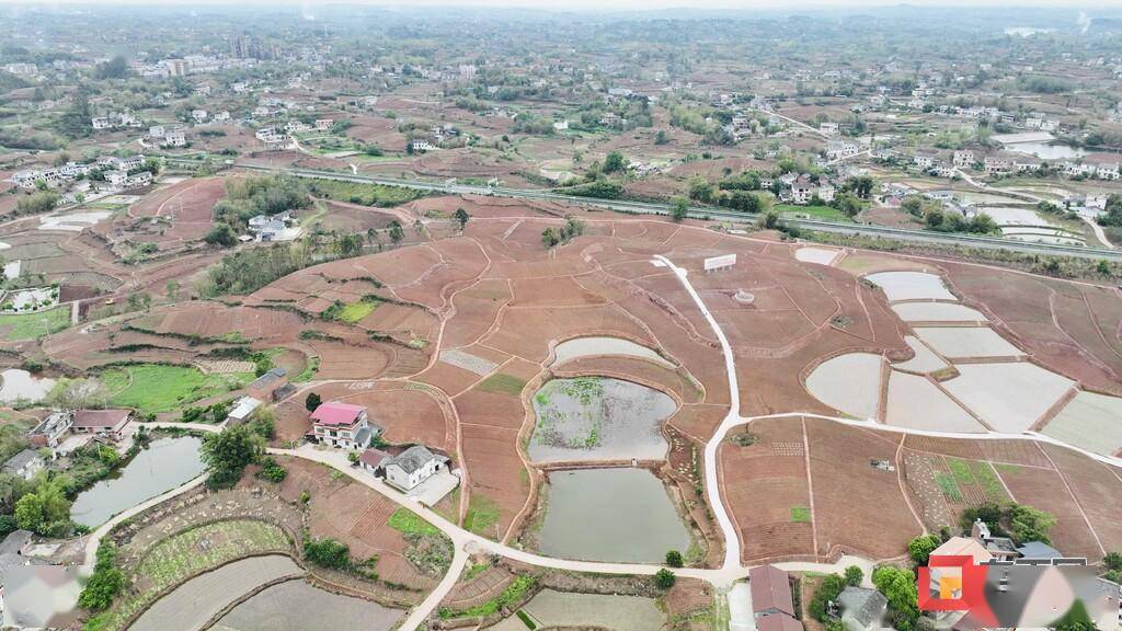 不误农时护春灌 立足长远保丰收——聚焦深耕农业的沿滩区瓦市镇_农田