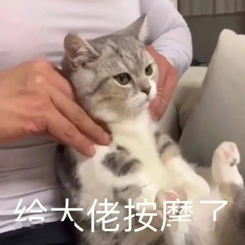 丰富一下表情包