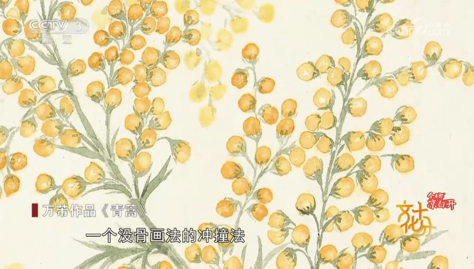 苜蓿花（苜蓿花图片怎么画简单好看） 第5张