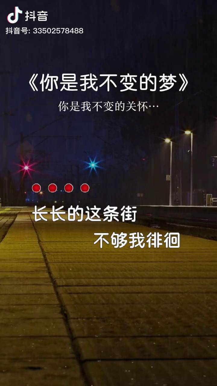 你是我不变的梦歌词