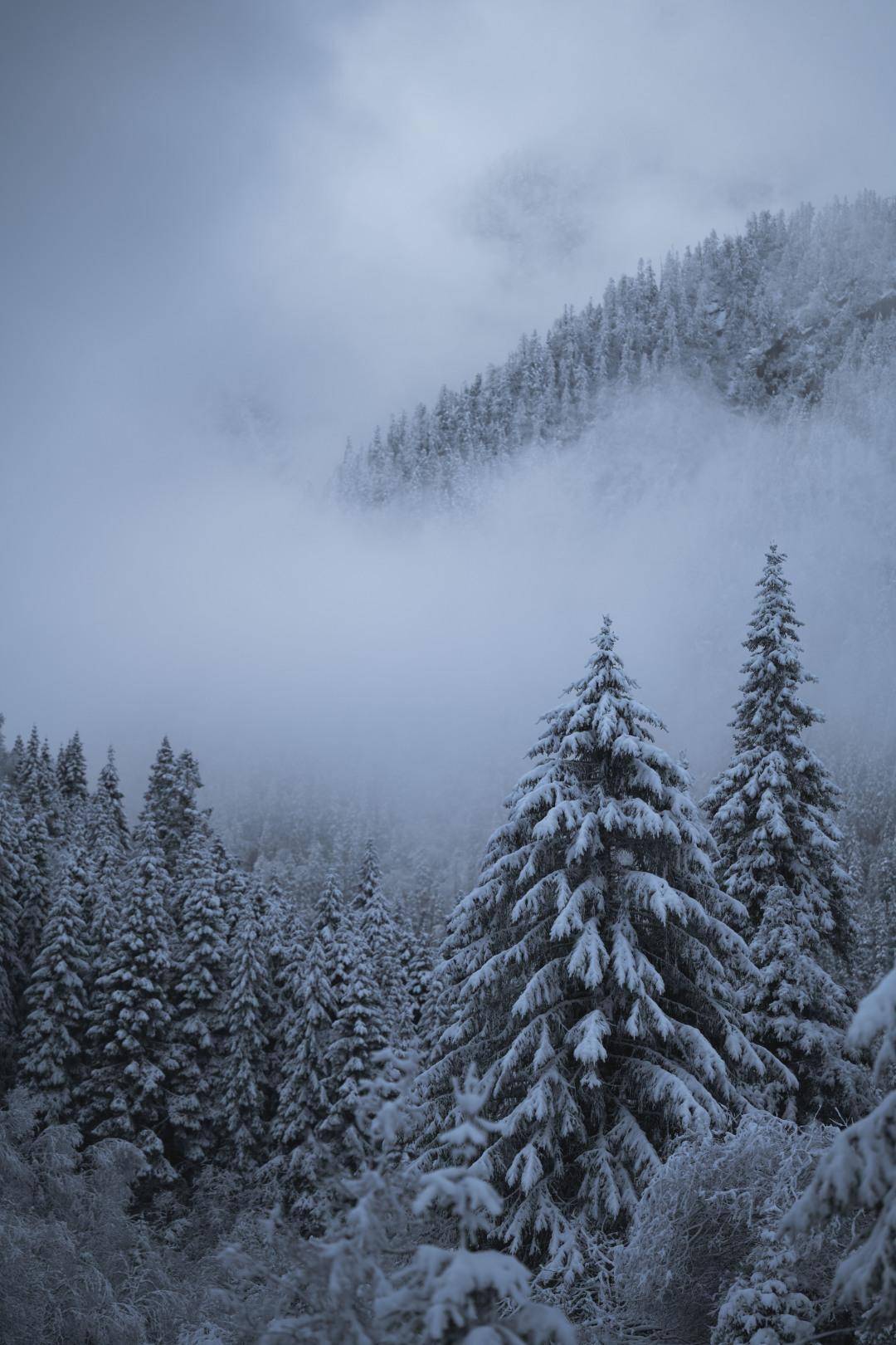 达古今日飘雪,五一小长假被雪承包_冰川_茂县_黑水县