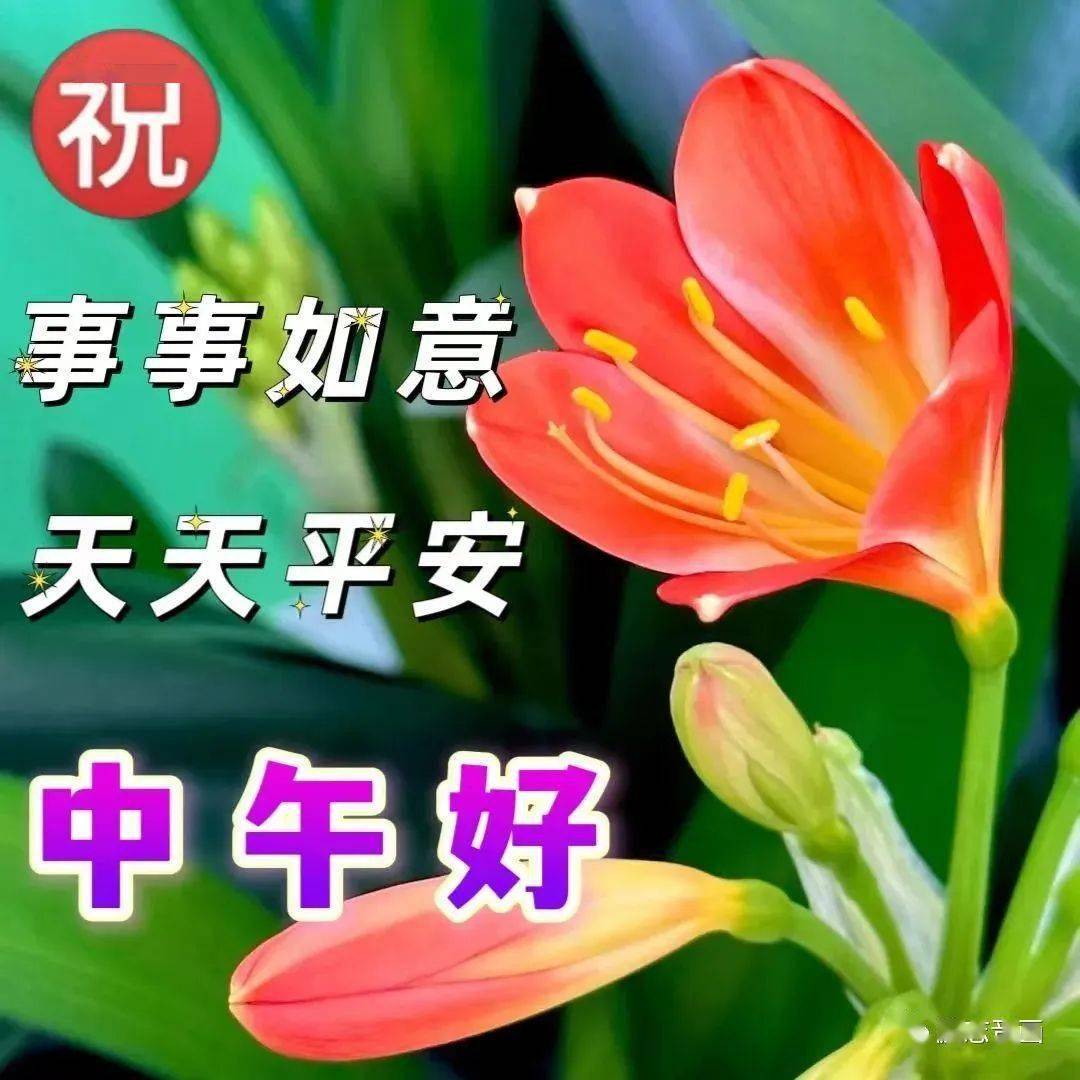 祝福表情包老年人图片