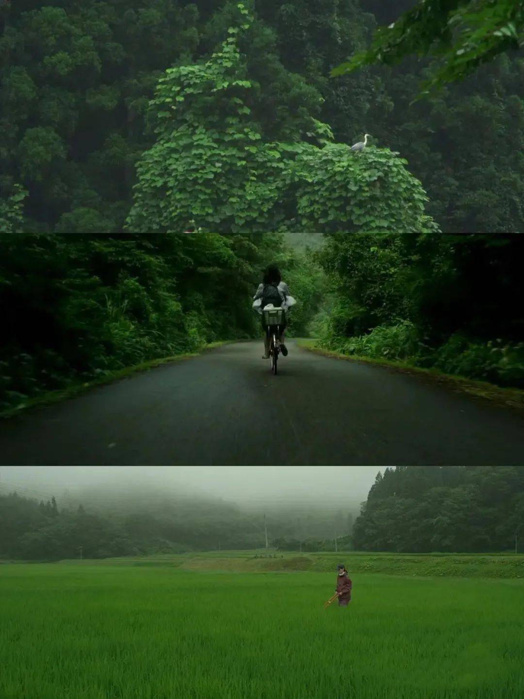 0分治愈系电影《小森林 夏秋篇》_活动_留言_内心