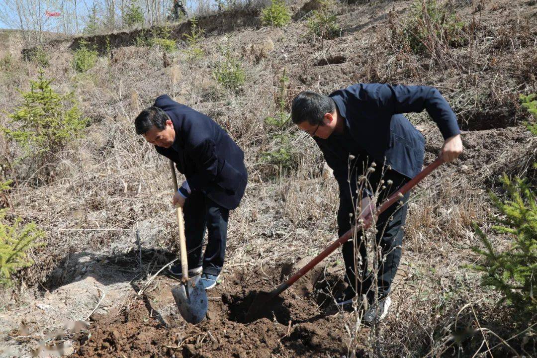 "植"此青绿 不负春光—隆德县教育体育局开展春季义务植树活动_全县