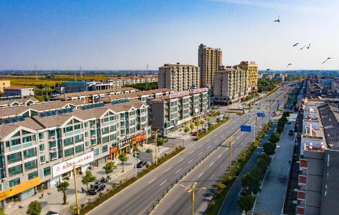 【农业农村】和美乡村入画来,三垛镇以优美的人居环境擦亮乡村振兴"