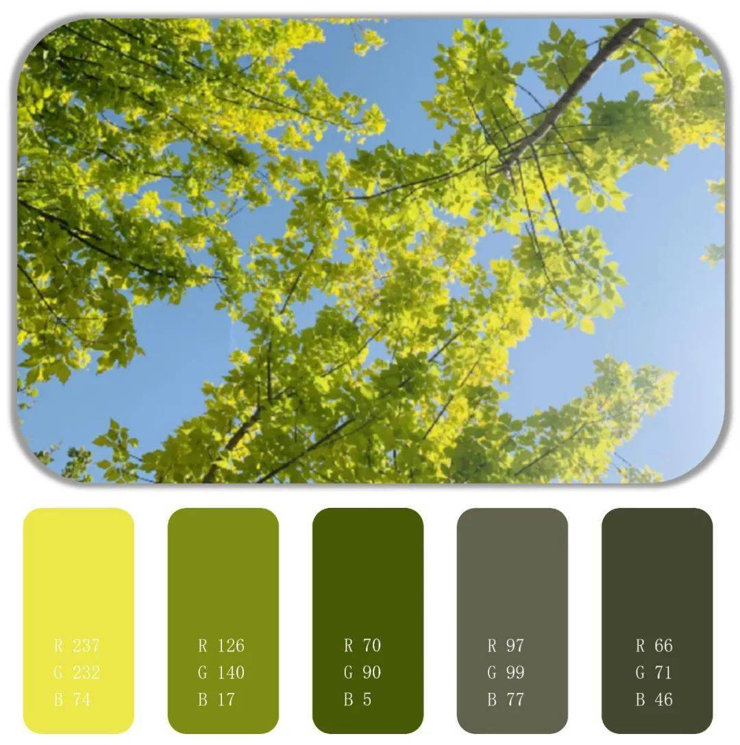 春日色卡抓住春天的尾巴