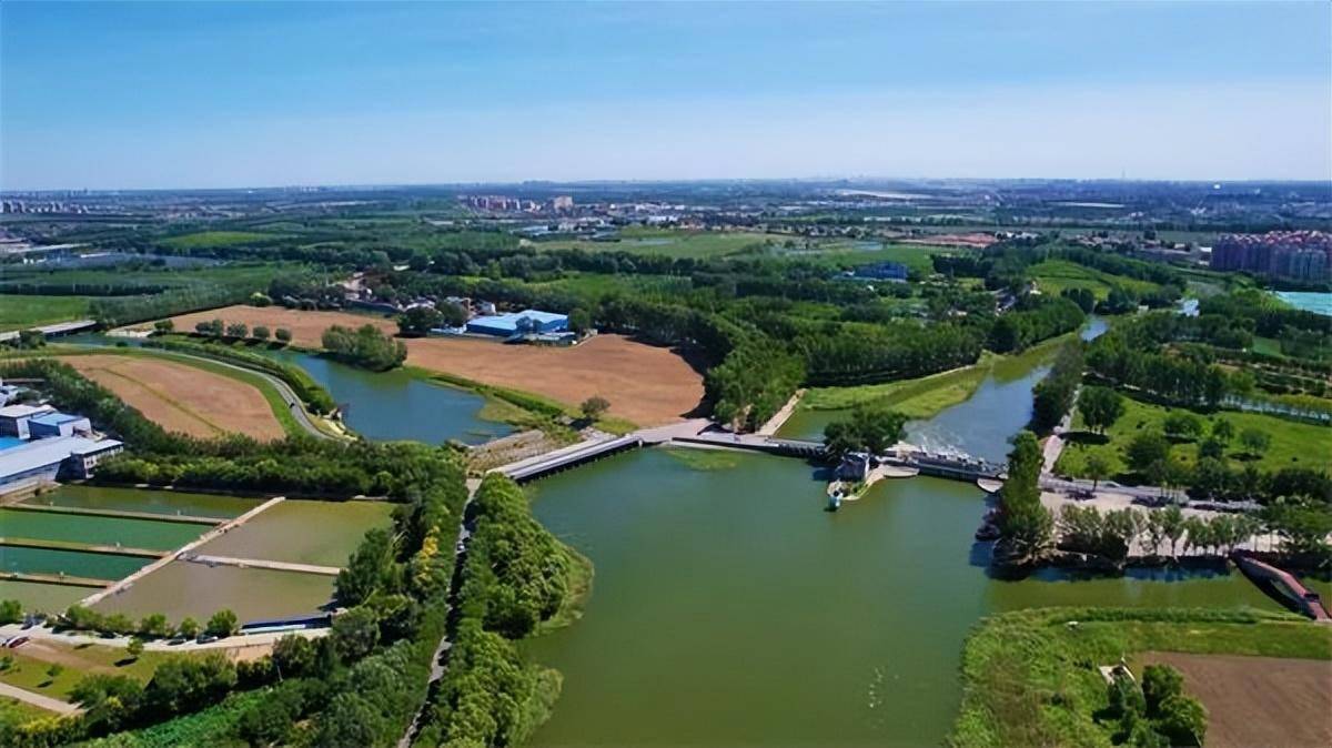 在武清,点亮一整个春天～_天津市_运河_位置