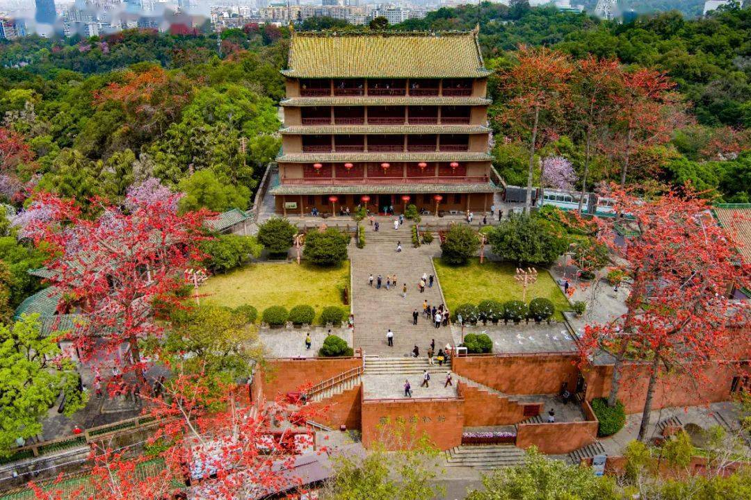 镇海楼门票图片