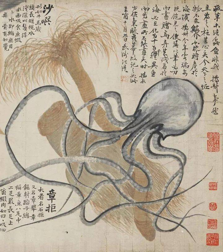 赵之谦异鱼图,奇趣水族大赏