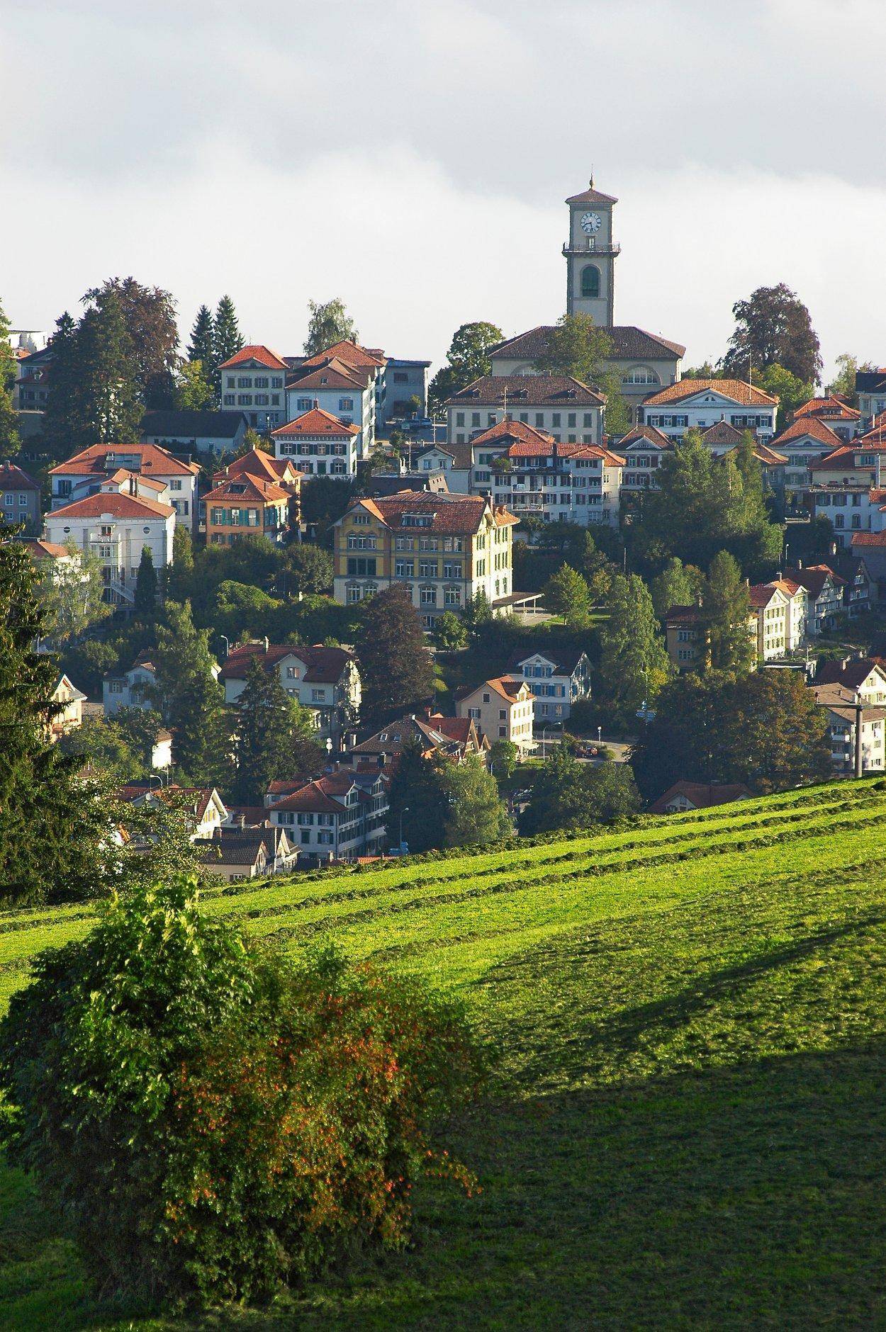 瑞士海登林德酒店:健康旅游胜地海登的理想住宿选择_heiden_宾客_服务