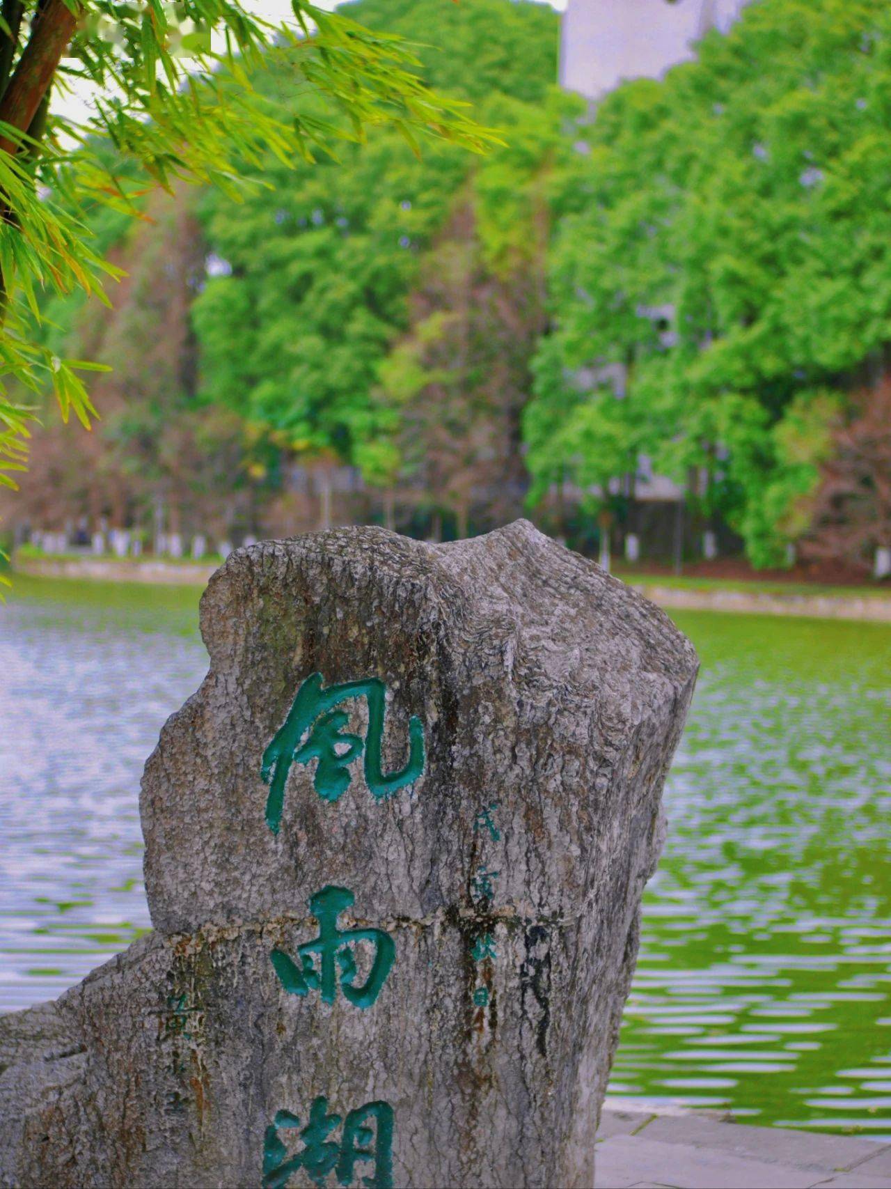 吉大学子迎风舒展06在灿灿的春日里唤醒你沉睡的心田愿四月的温暖美