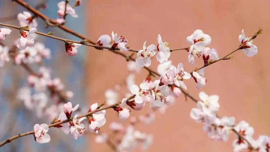 辽东学院·eastern liaoning