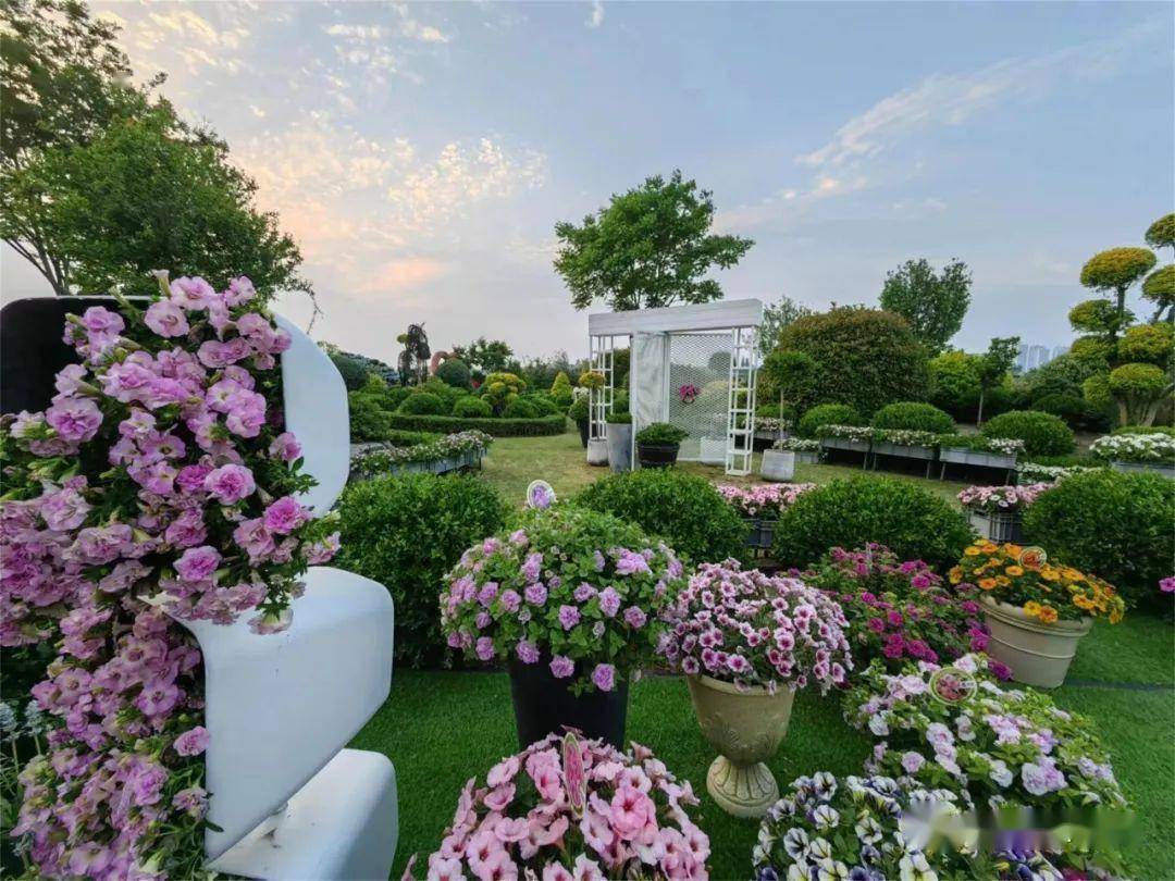 2023世界花园大会开幕 中国acs奖揭晓 | 动态_育种_花卉_消费