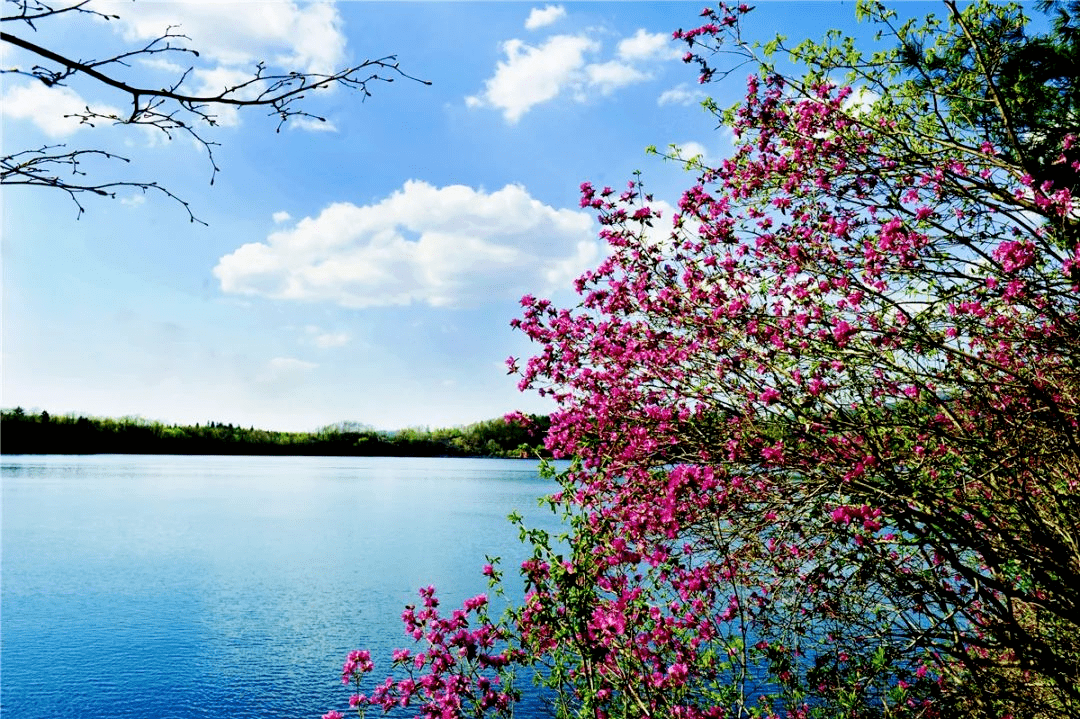 五月美景图片图片