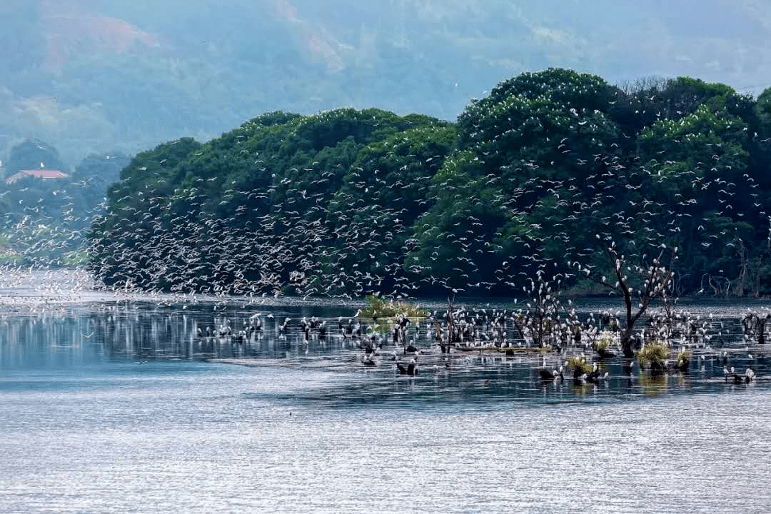 因瀟水與湘江在永州城區匯合,永州自古雅稱瀟湘 .永州