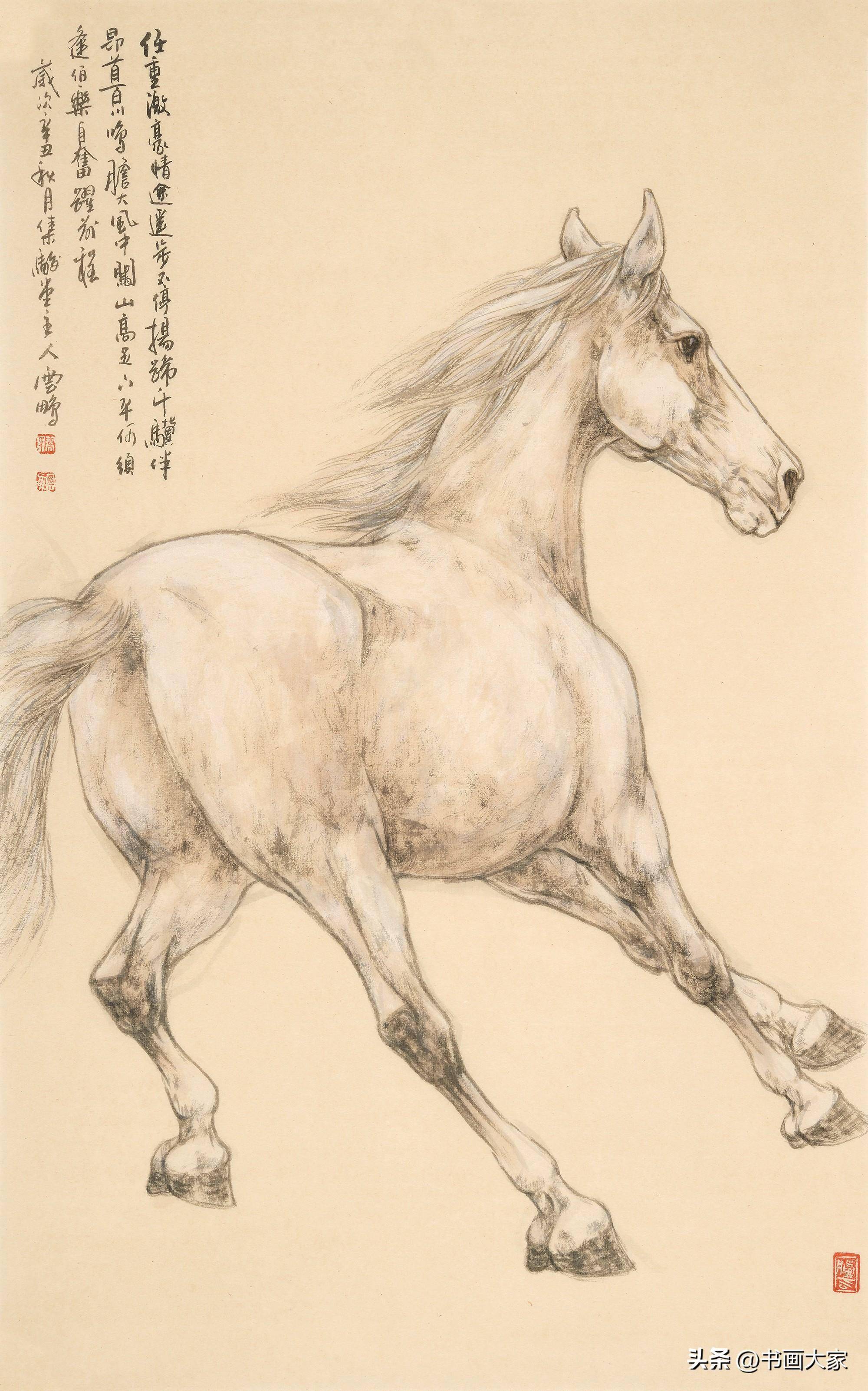 「陈云鹏画马」神采迷人目,画中见真情_工笔_作品_神韵