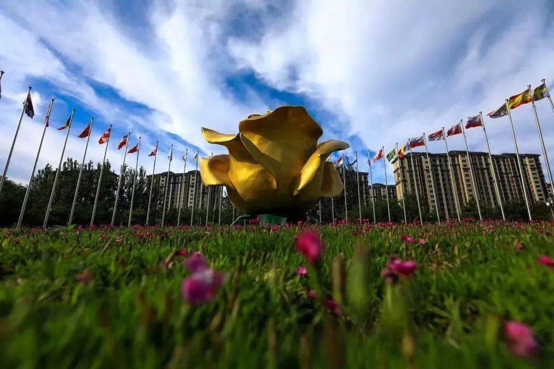 世界月季主题园新门正式开启_居民_魏善庄镇_群众